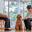 KAMENOI HOTEL SHIOBARA Dog Friendly Hotel
