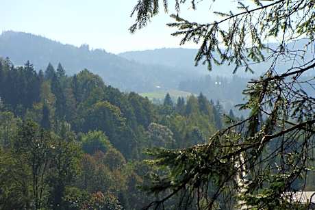 Double Room with Balcony (2 Adults + 1 Child)