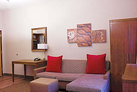 Queen Studio Suite - Mobility Access Roll in Shower/Non-Smoking