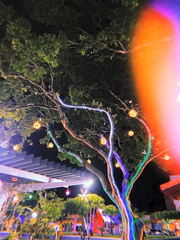 Honório Pousada-Caldas do Jorro BA