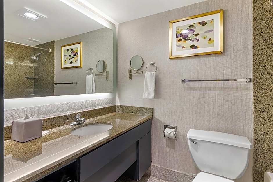 Comfort Inn Brooklyn Center
