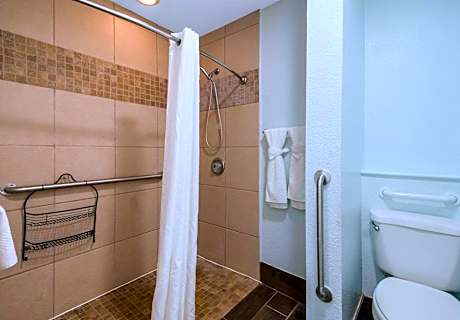 1 King Bed, Efficiency, Suite, Nonsmoking, Accessible