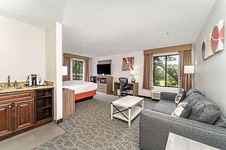 King Suite with Sofa Bed