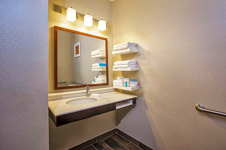 Hampton Inn By Hilton Detroit/Belleville-Airport Area