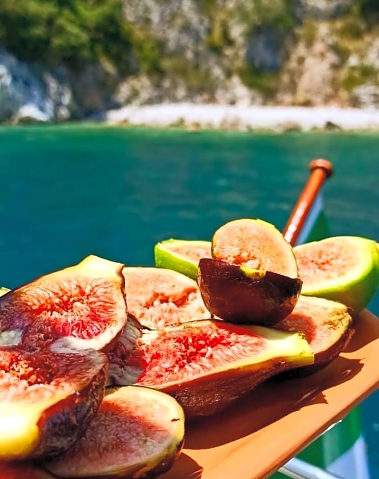 B&B L'ulivo – Marina di Camerota, UT