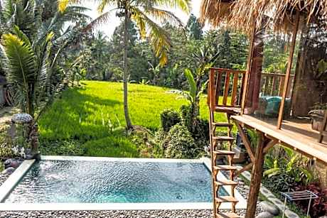 Bali Bamboo Jungle Huts And Hostel.