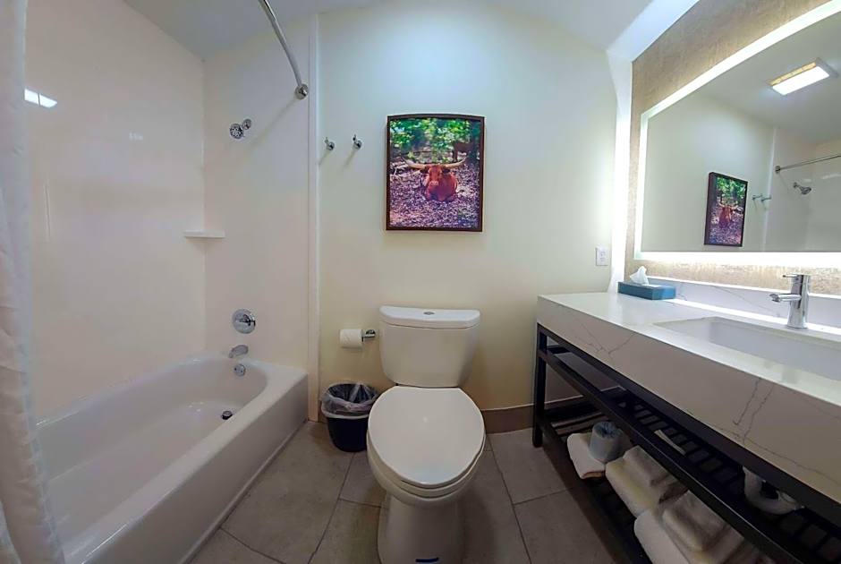 La Quinta Inn & Suites by Wyndham Dallas Mesquite