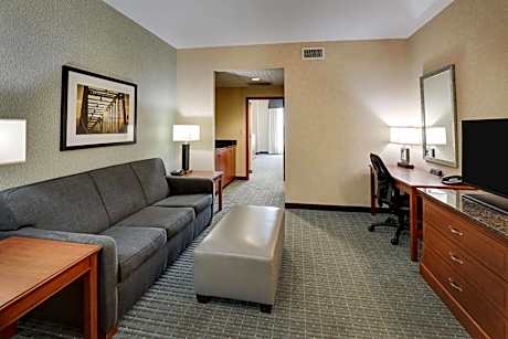 Queen Suite with Sofa Bed - Accessible, Tub
