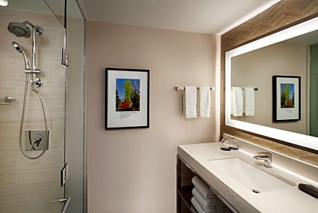 Premium Room, 1 King Bed, Non Smoking