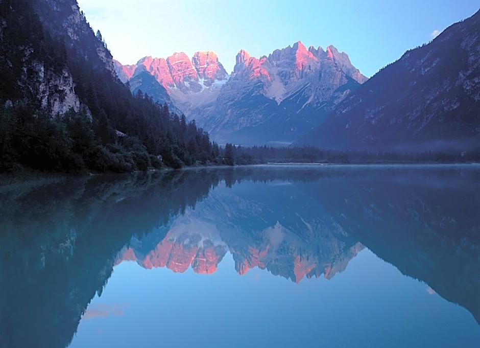 Berggut Niggler - Rusticus