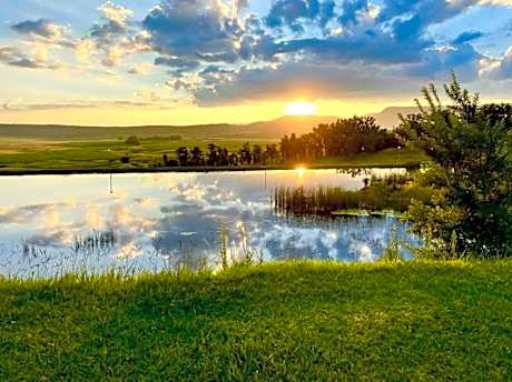 Grey Goose Game Lodge