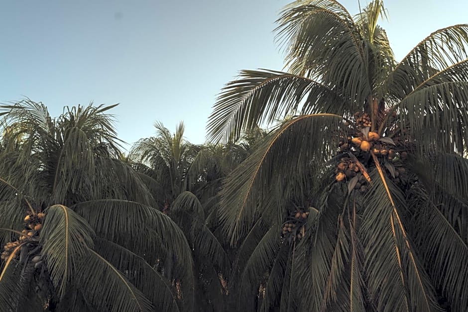 Casa Peregrino Holbox