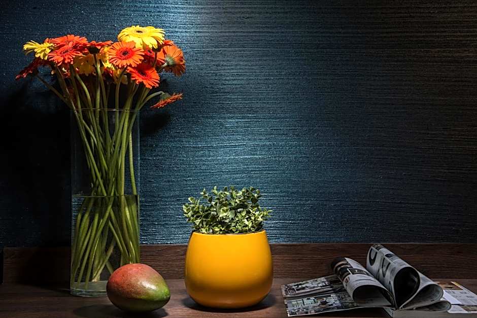 Rosslyn Dimyat Hotel Varna