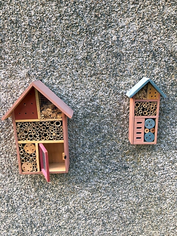 Le Cerisier Saint-Barbant