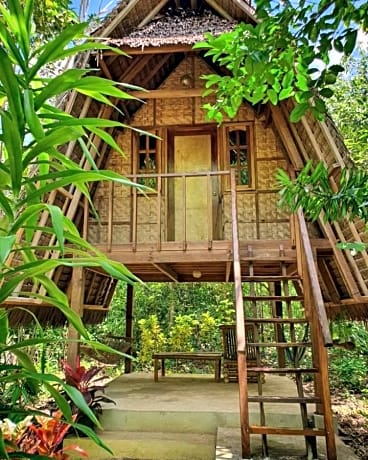 Lazy Lizard Hostel