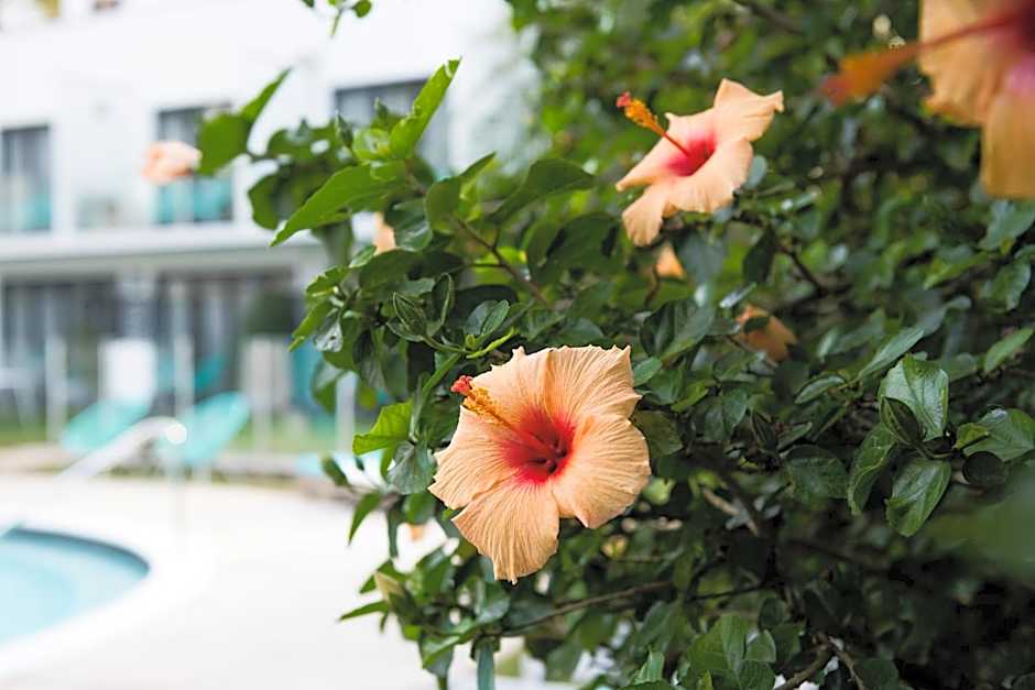 Terrigal Pacific Coastal Retreat