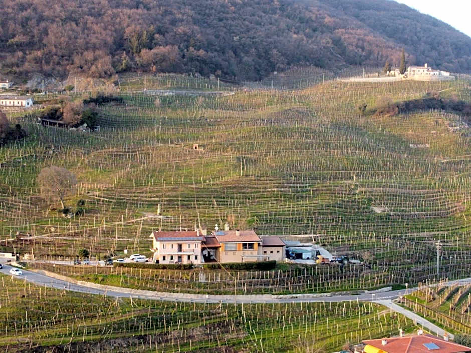 Agriturismo B&B Casa Bortolin