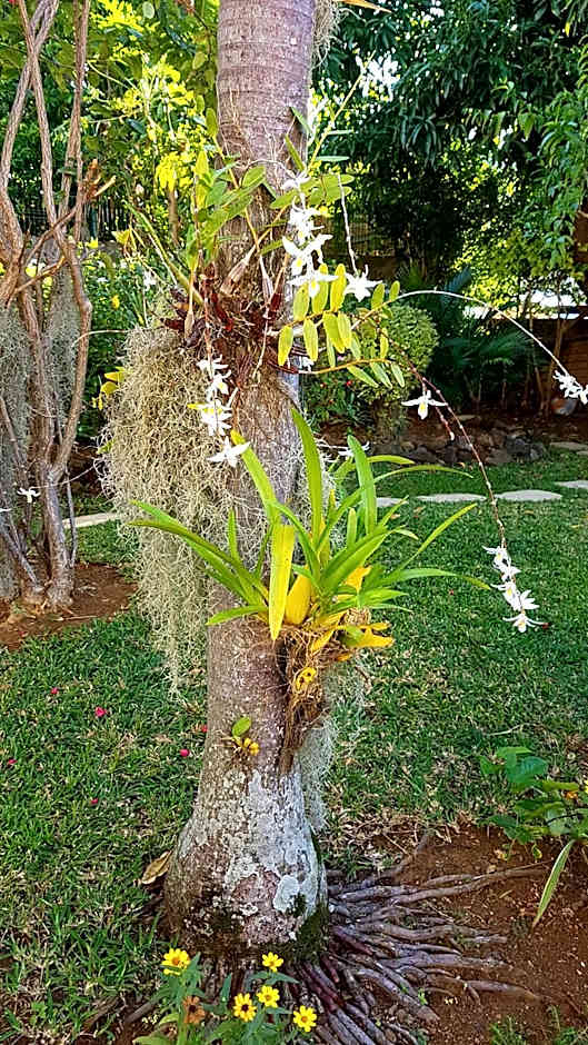 La Maison des Hôtes