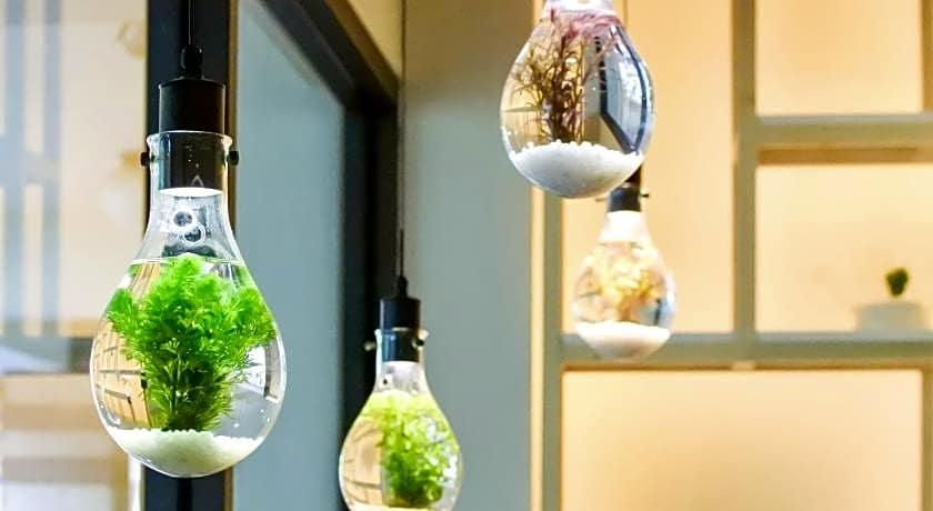 Green Hotel - West District