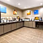 Comfort Inn & Suites IAH Bush Airport - East