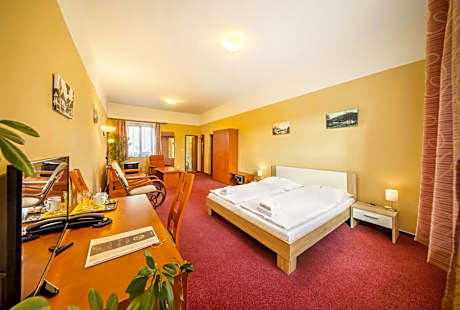 Large Double or Twin Room