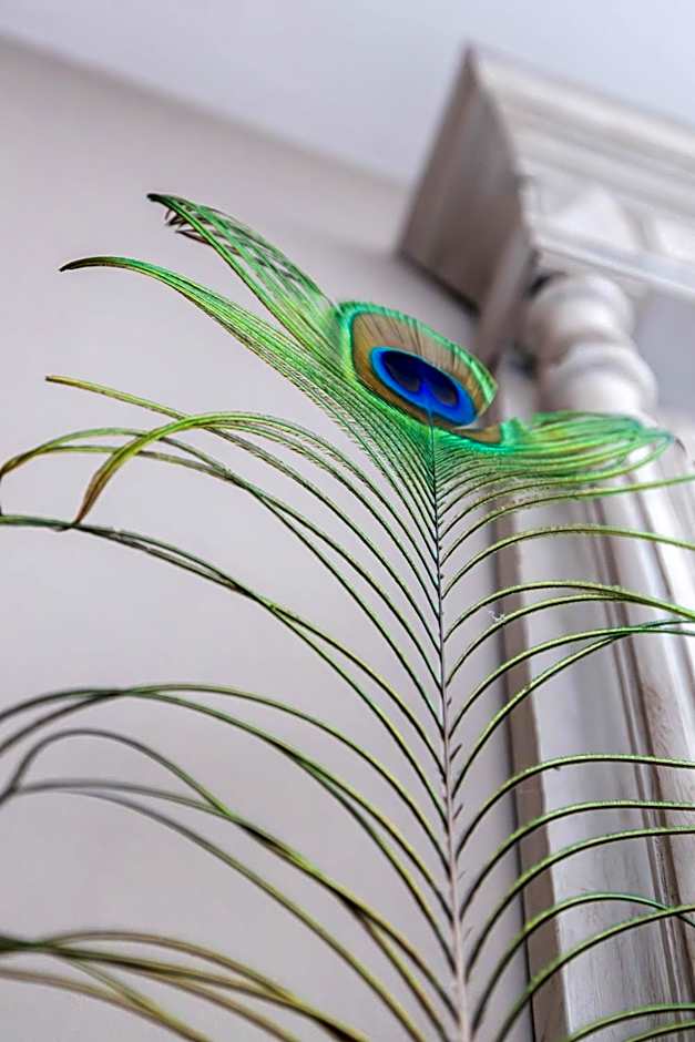 Chambres d hôtes du Castell de Blés