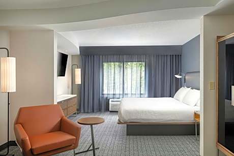 Studio with King Bed and Sofa Bed