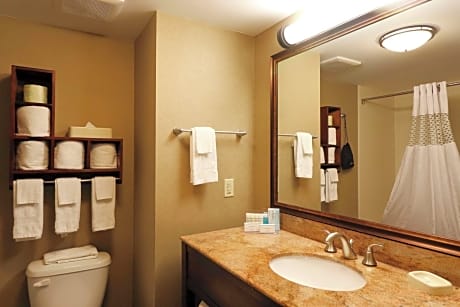 Accessible King Size Bed