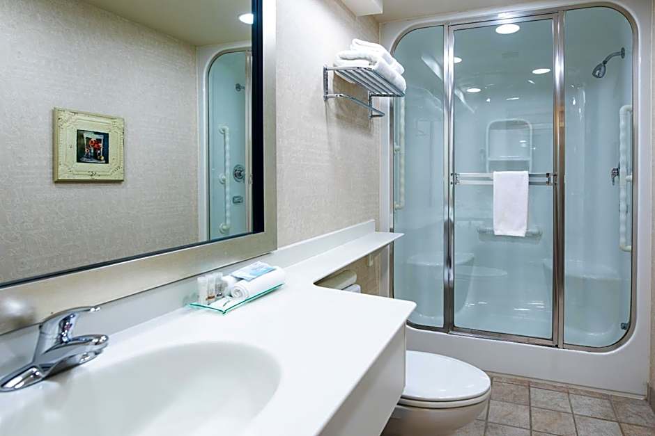 Royal Hotel West Edmonton, Trademark Collection by Wyndham
