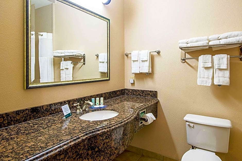 Quality Inn & Suites Robstown