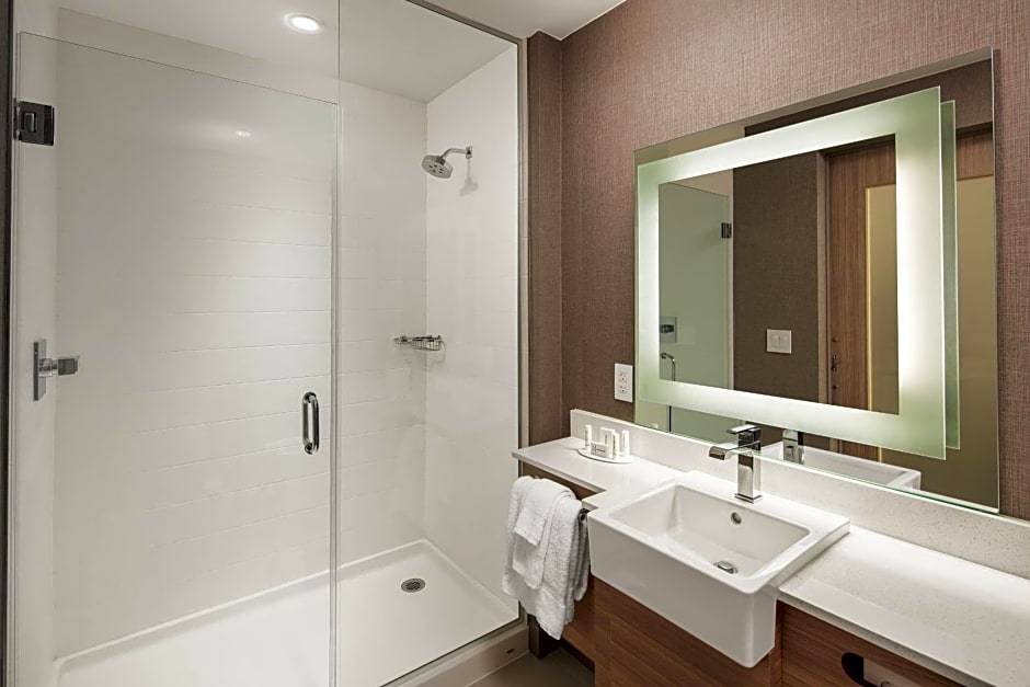 TownePlace Suites by Marriott New Orleans Downtown/Canal Street