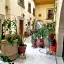 OYO Posada Santa Cecilia, Jerez Zacatecas