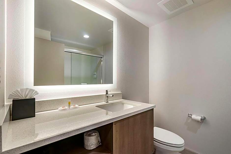 Comfort Inn & Suites New Port Richey Downtown District