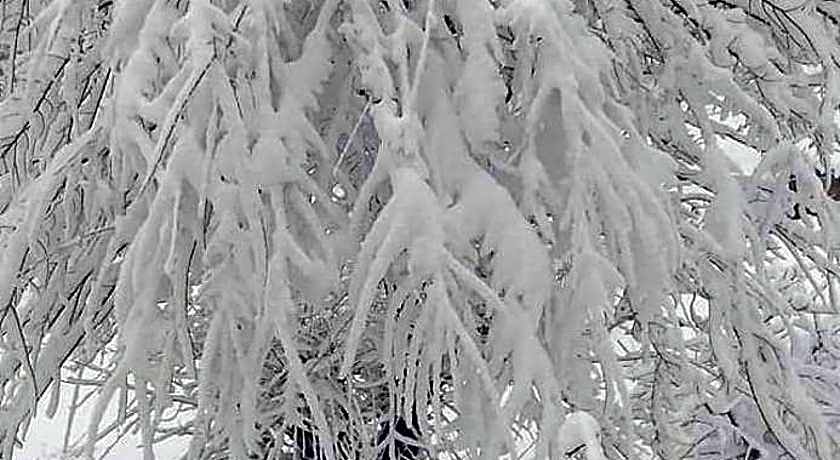 Hotel Devlok Primal Mussoorie