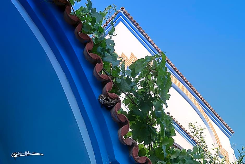 Villa Rita Guest House