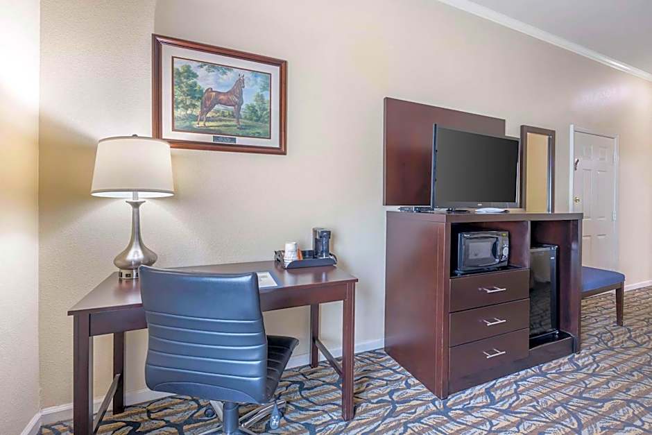 Best Western Spring Hill Inn & Suites