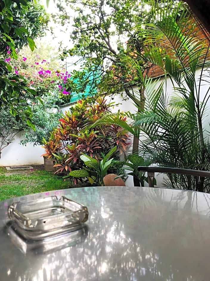 Los Nardos Hostel