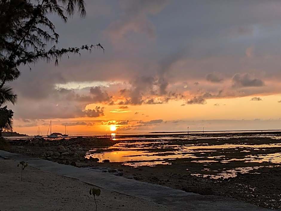 Bon Vivant Front de Mer - Ile Rodrigues