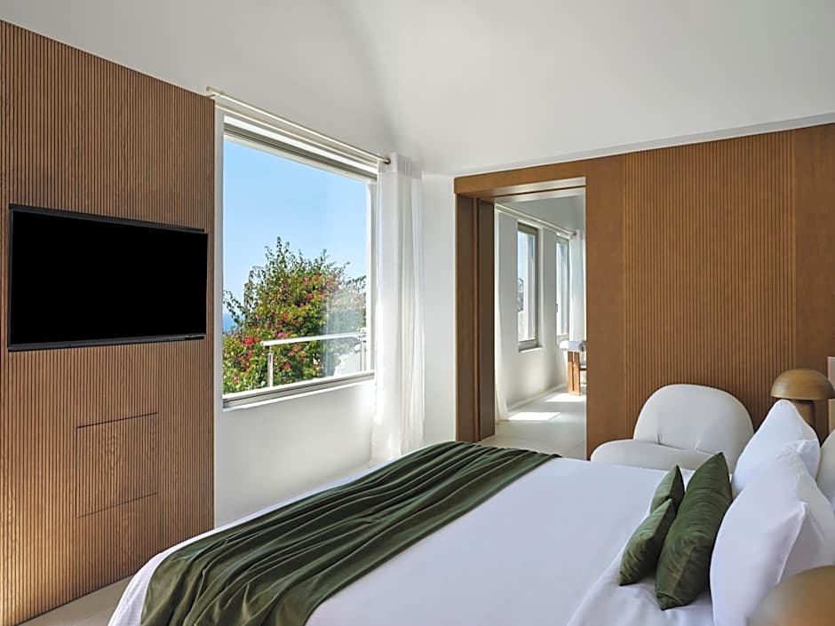 Andronis Luxury Suites