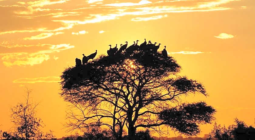 Morokolo Safari Lodge