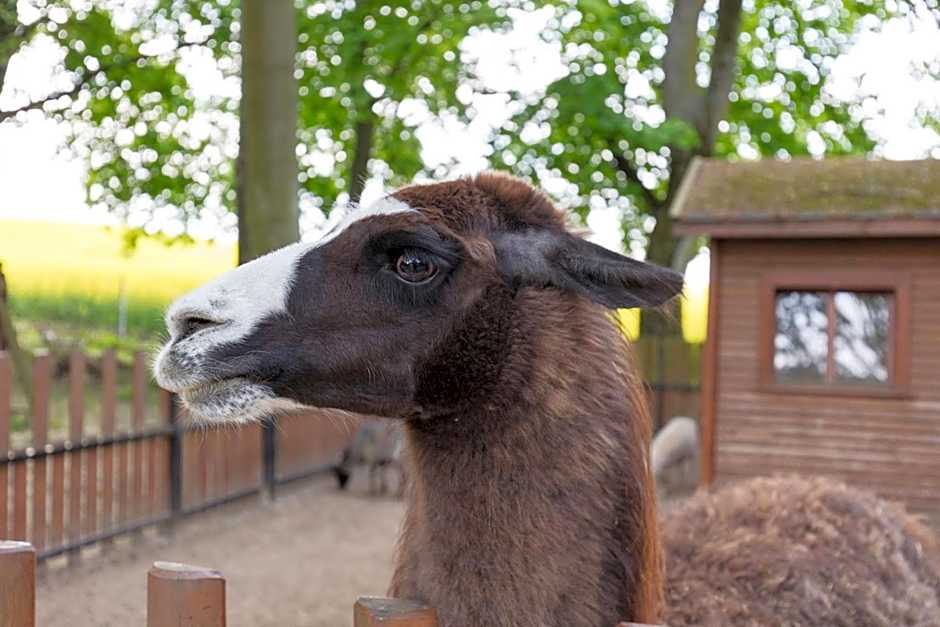 Hanza Paac Wellness & SPA