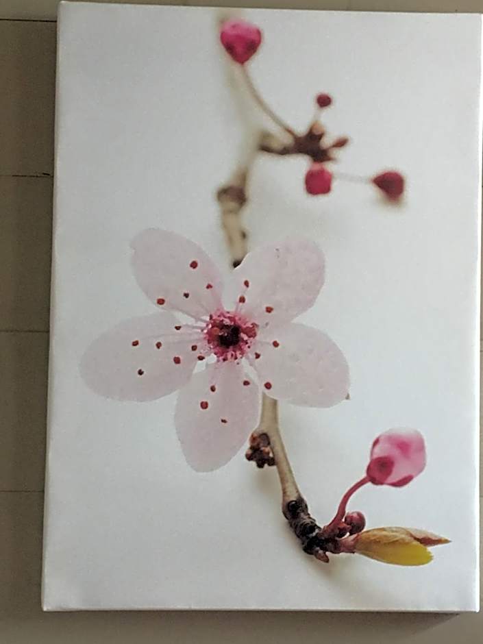 Hôtel Familial L'Ostréi