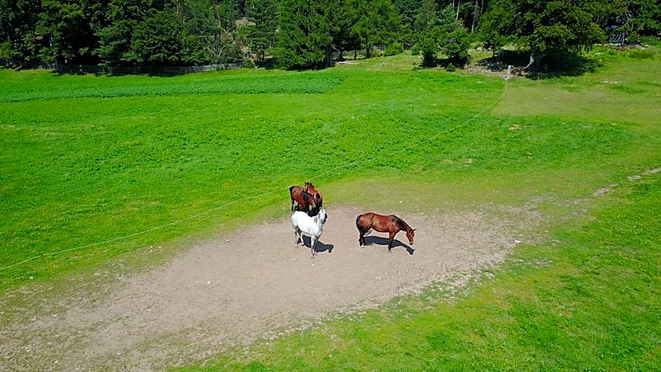 Gasthof Schneiderwiesen