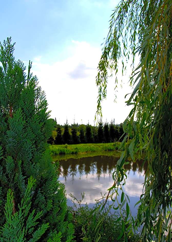 Hotel Marco Płońsk Szkolna 115