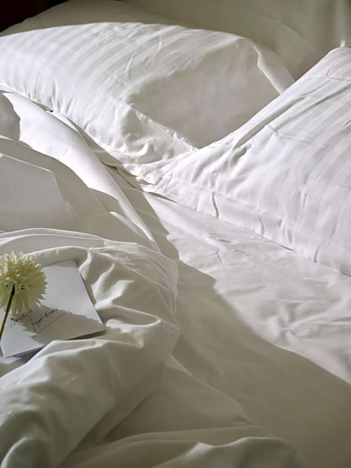 RMH Modena Raffaello