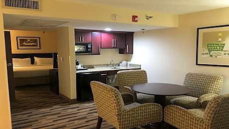 1 King Bed 1 Bedroom Comm Access Tub