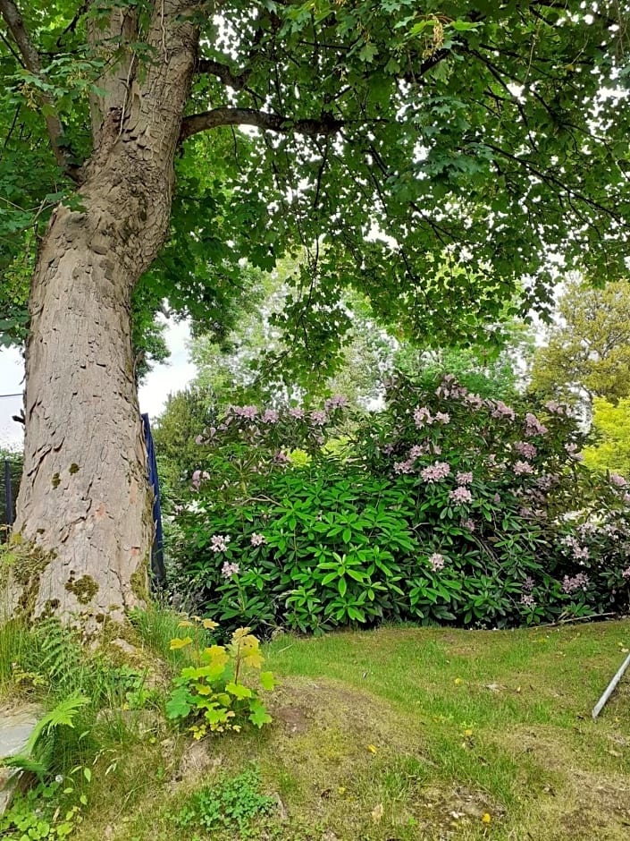 Manoir de l'As de Trèfle