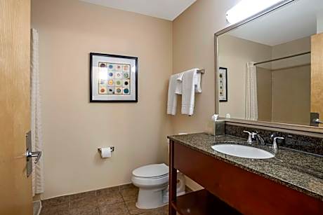 1 KING BED,NSMK,WHIRLPL,SOFABED,MICFRG,HISPD,COFMKR,FULL BREAKFAST