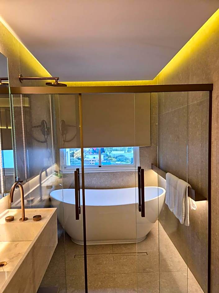 Intercity São Paulo Nações Unidas