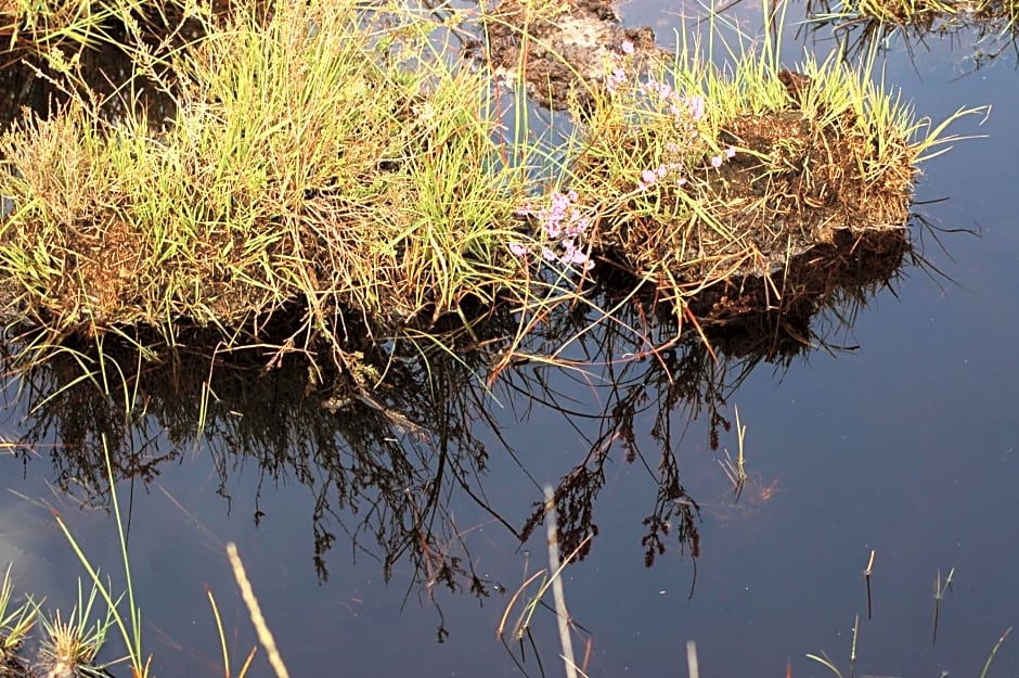 Stichting Veenloopcentrum Weiteveen